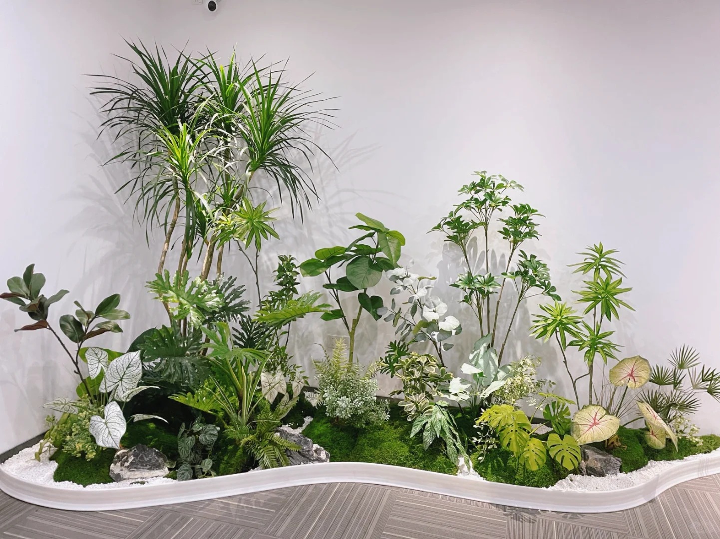 专业花卉出租，宁波江北为您的空间添绿彩